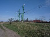 Kóny